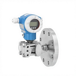 エンドレスハウザー デルタバー FMD77 差圧レベル計 |   フランジ付きダイヤフラムシール |   4～20mA HART - Product Image 3