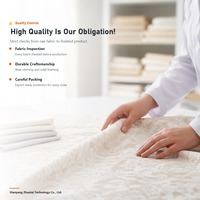 Ensemble de draps de lit en polyester 3 pièces avec 2 taies d'oreiller, choix économique et pratique, draps propres en coton Pima biologique