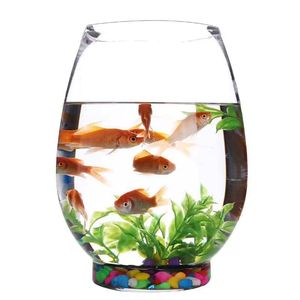 European Hydroponic Transparent Fashion Decoration Round Mouth Glass Fish tank Home Large Capacity Breeding Glass <strong>Vase</strong> - Product Image 1