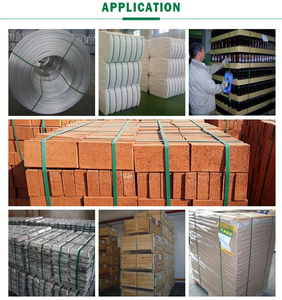 Factory Direct Sale Polyester PET Strapping Belt Rolls <strong>Plastic</strong> Packing <strong>Strips</strong> 1913 for Cotton Bale - Product Image 6
