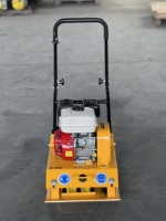 Petit compacteur à plaques vibrantes C90T avec réservoir d'eau pour le compactage routier à vendre
