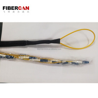 12 Core Singlemode Fiber Optic Patch Trunk Cable Optical Patch Cord Lc-lc with Pulling Eye