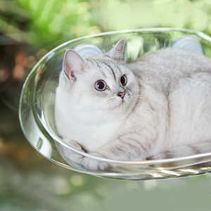 Cross-border pet supplies, including floating <b>cat</b> beds, suction cup <b>cat</b> hammocks, sunbathing devices, and <b>cat</b> <b>trees</b> suitable - Product Image 2