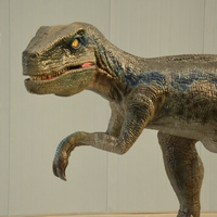 Usine de Offre Spéciale Dinosaure Animatronique Dinosaurio Mecatronicos Velociraptor Modèle de dinosaure robotique réaliste grandeur nature