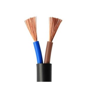 RVV 2*6 300/500V Factory Direct <strong>Manufactured</strong> Low Voltage High Quality Double Cores <strong>Copper</strong> Conductor PVC Insulated Electric <strong>Wire</strong> - Product Image 1