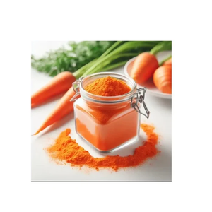 Pure Daucus Carota Carrot <b>Root</b> Extract Powder Advanced <b>Spray</b> Dried and Tray Dried Botanical Plant Powder Manufacturer - Product Image 3