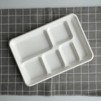 Assiettes rectangulaires jetables 6 compartiments plateau à Sauce Bagasse plateau à Sauce 6 compartiments assiette jetable plateau à Bagasse blanchi