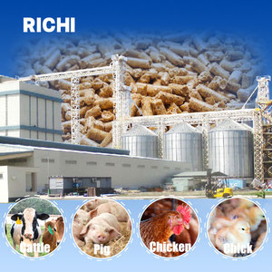 RICHI özelleştirilmiş 1-100 T/H tam otomatik Mash tavuk sığır bileşik karides yüzen balık kanatlı hayvan yem bitki - Product Image 1