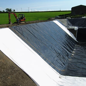 Fabricante de Geomembrana de HDPE, tanques de revestimiento para estanques de peces al aire libre, Geomembrana para cría de peces y camarones - Product Image 2