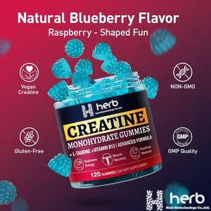 Gummies de renforcement musculaire en marque privée, nutrition sportive, énergie post-entraînement, supplément de créatine monohydratée, 60 unités pour adultes - Product Image 6