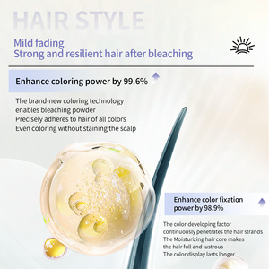 Salon Merek Kami Sendiri Spesialis Pewarnaan Rambut dengan Bubuk Pemutih Rambut Biru 9-grade yang Kuat, Bebas Debu, dan Tahan Lama