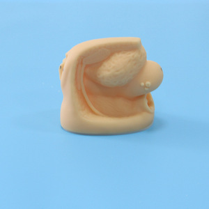 Model Pengajaran Medis Organ Kelamin Perempuan, Model Anatomi Sains Medis Internal dan Eksternal Kualitas Tinggi 21x11x15CM - Product Image 4