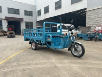 Chang Li Tricycle électrique 1 tonne Camion à benne basculante à 3 roues avec transport de marchandises sécurisé Moto sûre et durable