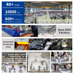 DKV TD42 فولاذ مقاوم للصدأ ترموديناميك من النوع ، pnnpt BSP ملولب 16 فولاذ مقاوم للصدأ من أجل البخار - Product Image 4