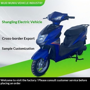 Monopattino Elettrico per Adulti 48V 600W, 50km/h, Lunga Autonomia, per Città e Strada, Fornitura OEM per Esportazione - Product Image 1