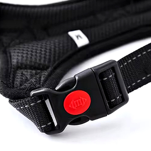 Fabriek Custom Logo Huisdier Kraag Gesp Verstelbare Plastic Quick Side Release Sluiting Hond Kraag Plastic Gesp Gratis Monster - Product Image 5