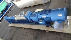 Pompe Monovite per il Trasporto di Acque Reflue dalle Centrali Elettriche nell'Industria della Protezione Ambientale - Product Image 4