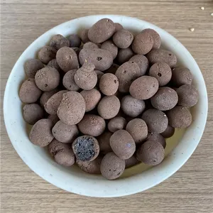 Eco-Friendly Lightweight Expanded Clay Aggregate Small Ceramic Clay Balls for Horticulture Hydroponic Growing Raw Material