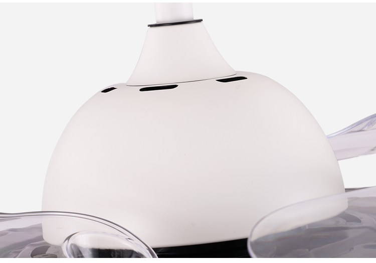 Breezelux fans with lamp