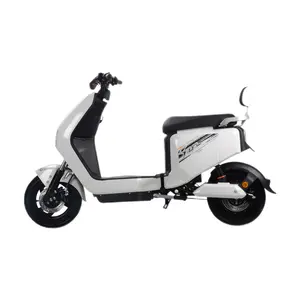 Sepeda Motor Elektrik 2000W, Skuter Elektrik Kecepatan Tinggi Jarak Jauh Populer