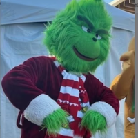 Costume de mascotte monstre vert en fourrure unisexe pour adulte, en peluche EVA, pour cosplay, personnage de dessin animé, fête, Noël, anime
