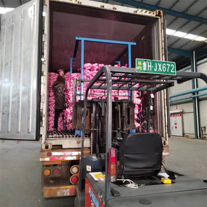 g1大蒜种子中国大蒜供应商，价格便宜的生大蒜出售 - Product Image 3