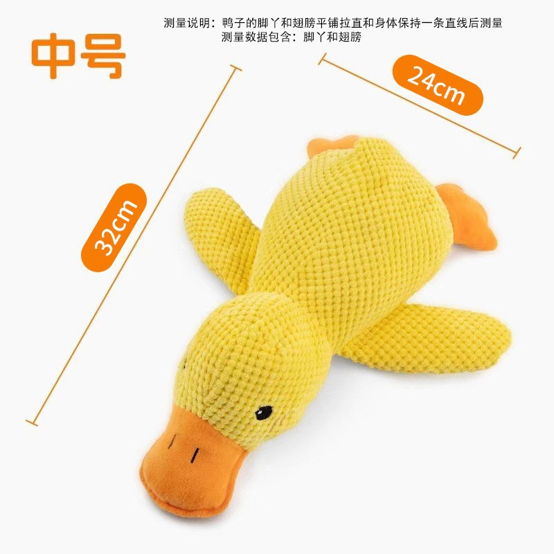 Canard - Moyen