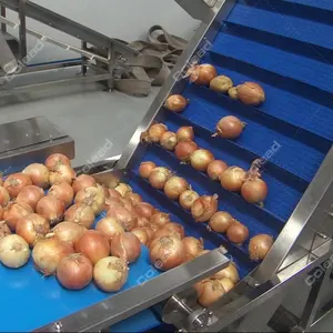 Máquina de clasificación de frutas y tomate, rodillo sizer, cereza