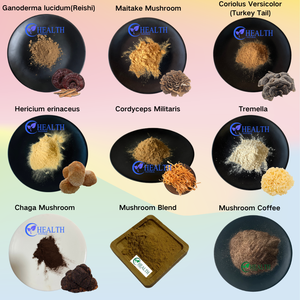 Extracto Orgánico de <span class=keywords><strong>Boletus</strong></span> Edulis, Extracto Natural de Hongo Porcini en Polvo, Extracto Vegetal Vegano, Sin OMG, a Granel, OEM - Product Image 4