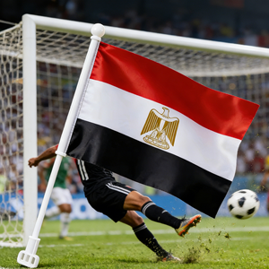 Bandiere a Mano dell'<span class=keywords><strong>Egitto</strong></span> 2026, Vendita all'Ingrosso, Bandiere di Nove Paesi Africani, Decorazione per la Festa Nazionale in Poliestere - Product Image 2