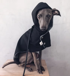 Fabricant <span class=keywords><strong>de</strong></span> vêtements <span class=keywords><strong>pour</strong></span> animaux <span class=keywords><strong>de</strong></span> compagnie design <span class=keywords><strong>de</strong></span> mode personnalisé imperméable et coupe-vent <span class=keywords><strong>pour</strong></span> chien - Product Image 4