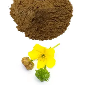 El mejor suplemento de extracto de plantas a base de hierbas potenciador Tongkat Ali Maca <span class=keywords><strong>Tribulus</strong></span> <span class=keywords><strong>Terrestris</strong></span> extracto en polvo cápsula - Product Image 1