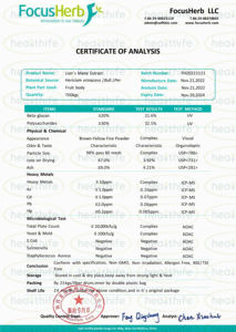 בריאות אספקת רעמה של הארי של אריה אבקה פטריות גלם אבקת פטריות - Product Image 4