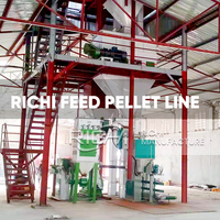 Ligne de production complète de granulés d'aliments pour volailles RICHI 5t/h pour petites exploitations agricoles au Zimbabwe