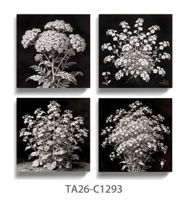 Set di Stampe su Tela con Illustrazioni Botaniche Vintage, Stampe Floreali e di Piante Antiche per Arredamento Rustico - Product Image 3