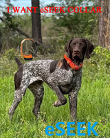 Système de suivi de chien par GPS eSEEK robuste, étanche IP68, avec récepteur PDA portable 4G VHF, dispositif de localisation pour chiens de chasse