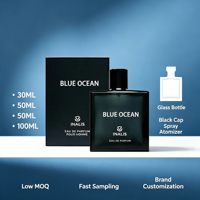 Parfum de marque pour homme, 100 ml (3,4 fl.oz), senteur longue durée, Océan Bleu, personnalisable avec votre logo, vente en gros
