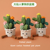 Cactus mignon au crochet, peluche amigurumi végétale faite à la main, cadeaux d'anniversaire uniques et amusants pour hommes et femmes, pour la décoration de bureau
