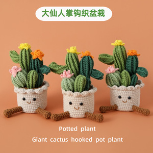 Cactus mignon au crochet, peluche amigurumi végétale faite à la main, cadeaux d'anniversaire uniques et amusants pour hommes et femmes, pour la décoration de bureau - Product Image 3