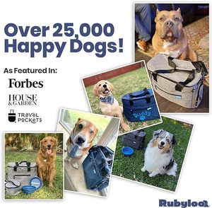 Muestra Gratuita de Bolsa de Viaje para Mascotas, Bolsa Resistente para Gatos, Jaula Plegable para Mascotas, Transportín para Gatos para Viajar - Product Image 3