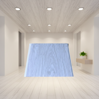 Panel de Techo de PVC para Decoración de Interiores de Hogar y Oficina a Precios Económicos