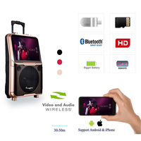 2023 nuevo diseño altavoz de fiesta de Karaoke con pantalla táctil de 14 pulgadas con WIFI y amplificadores de equipo de sonido de alta potencia