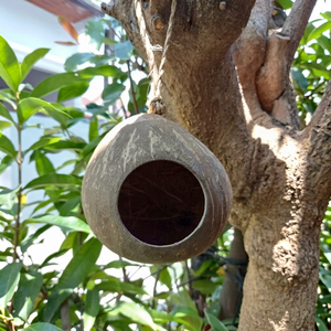 บ้านสัตว์เลี้ยงเปลือกมะพร้าว – ที่พักพิงธรรมชาติที่ไม่เหมือนใครสำหรับสัตว์เลี้ยงขนาดเล็ก นก และสัตว์ป่าในสวน Eco2go เวียดนาม - Product Image 1