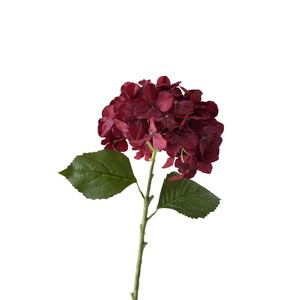 Junheyuan - Ramas Individuales de Hortensias Artificiales, 72 Pétalos, Flores de Seda para Decoración de Techos de Boda - Product Image 5