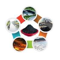 Poudre de magnétaite pour le traitement des eaux usées, poudre de fer pour la fusion et la fonderie, et distribution de poids pour équipements de fitness