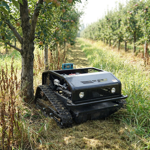 Tondeuse à gazon autonome Spot 800 mm, robot chenillé, tondeuses à gazon automatiques télécommandées avec application d'engrais - Product Image 1