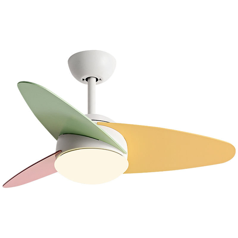 สีขาว + สี