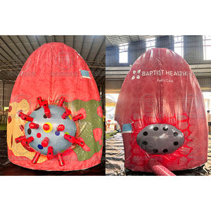 Modelo Inflável de Coração Gigante para Eventos Médicos, Modelo Inflável de Corpo Humano para Câncer, Modelo Inflável de Cérebro e Cólon - Product Image 6