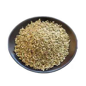 100% Natural Dry Various Herbs Green Color Aromatic Condiment Aromatic and Flavorful Herb Fennel Seeds