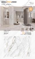 Échantillon 100*200 mm pour carrelage en ardoise frittée 1200x2700 mm, surface brillante, blanc grisâtre, pour hôtel, villa, sols commerciaux